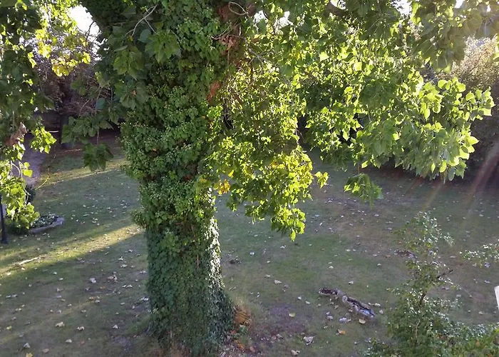 D'hotes Les Marronniers 3* Bordeaux